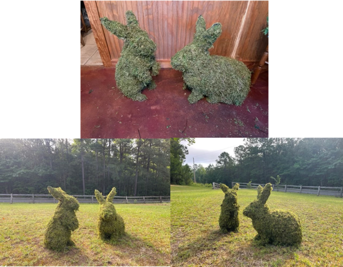 Rabbit and Bunny Mossed Topiary